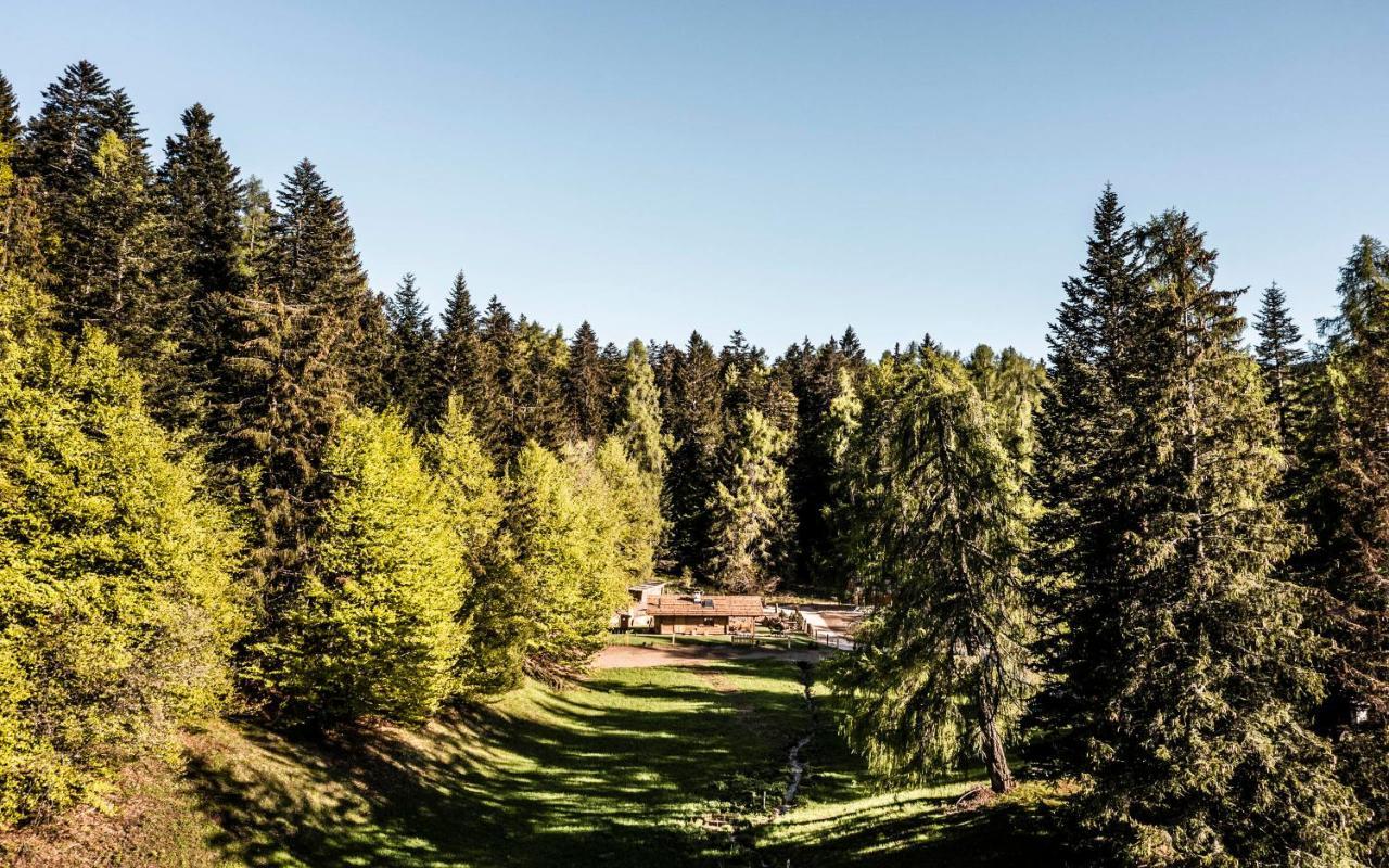 La Mendola Alm Chalet 빌라 외부 사진